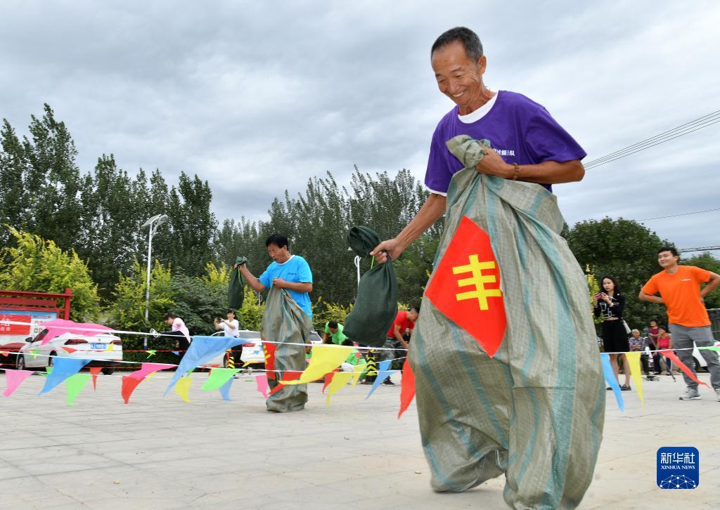 云顶真金下载